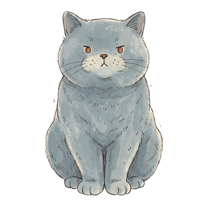British Shorthair, Deadpan gentleman