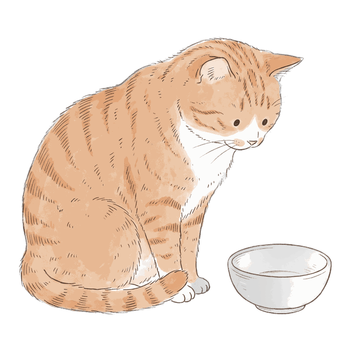 Orange Tabby, Hungry uncle